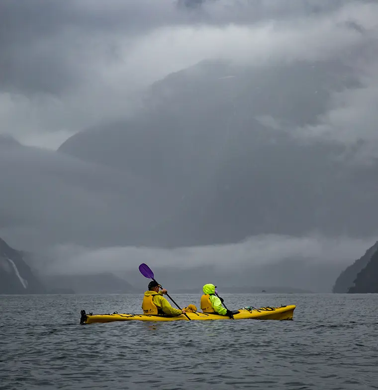 Eco Cruises - Milford Sound