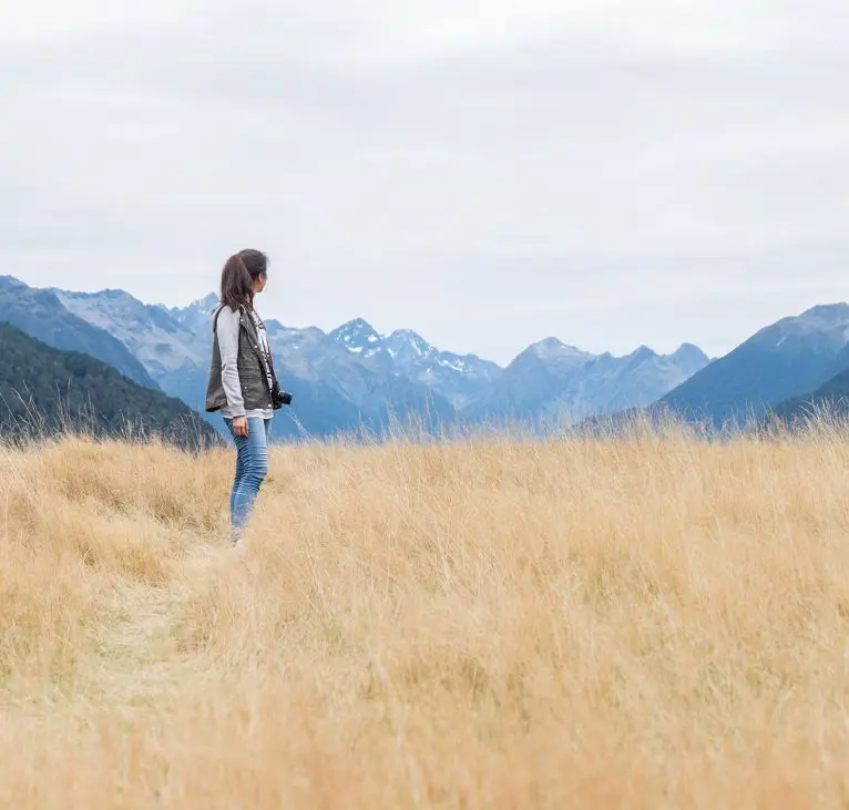 Landscape along Milford Sound highway, Fiordland National Park