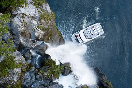 greatsights new zealand day tours milford sound nature cruise spirit of milford card